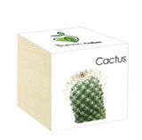 iGreen Cube Fiori & Piante in Cubi di Legno - Cactus